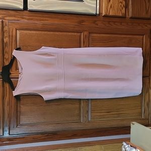 Ann Taylor Blush Dress